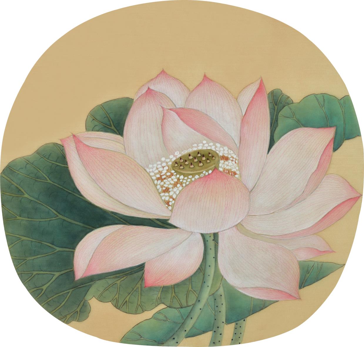 临宋人出水芙蓉图